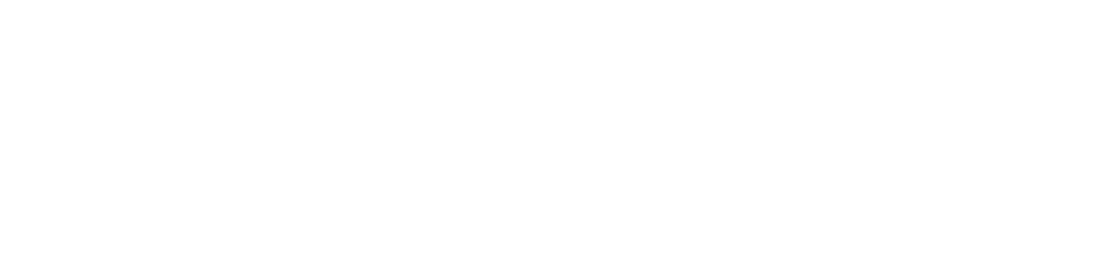 logo-white-footer